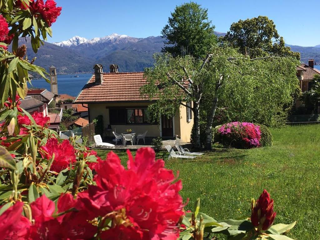 Le Betulle Holiday home Oggebbio