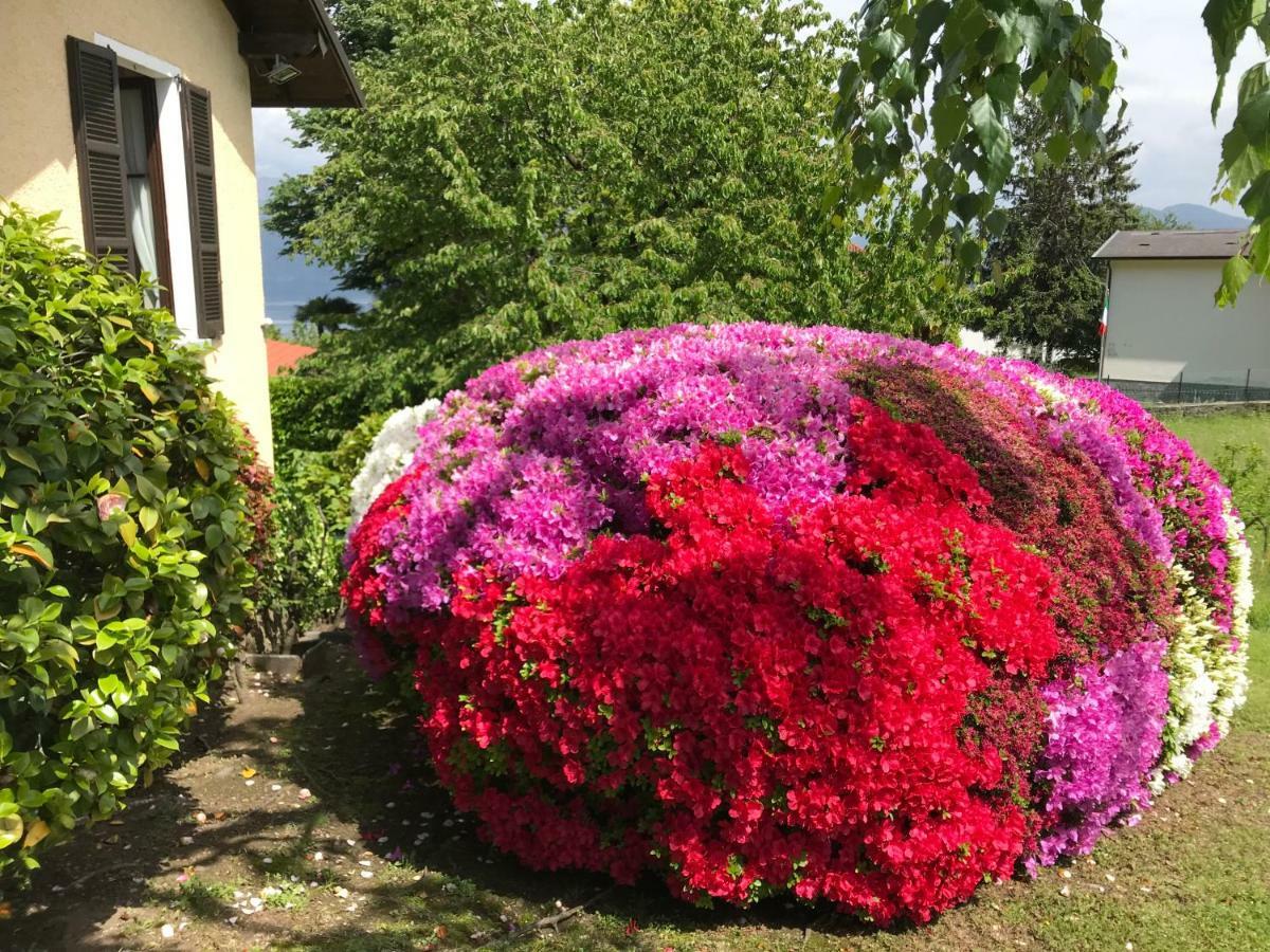 Holiday home Le Betulle