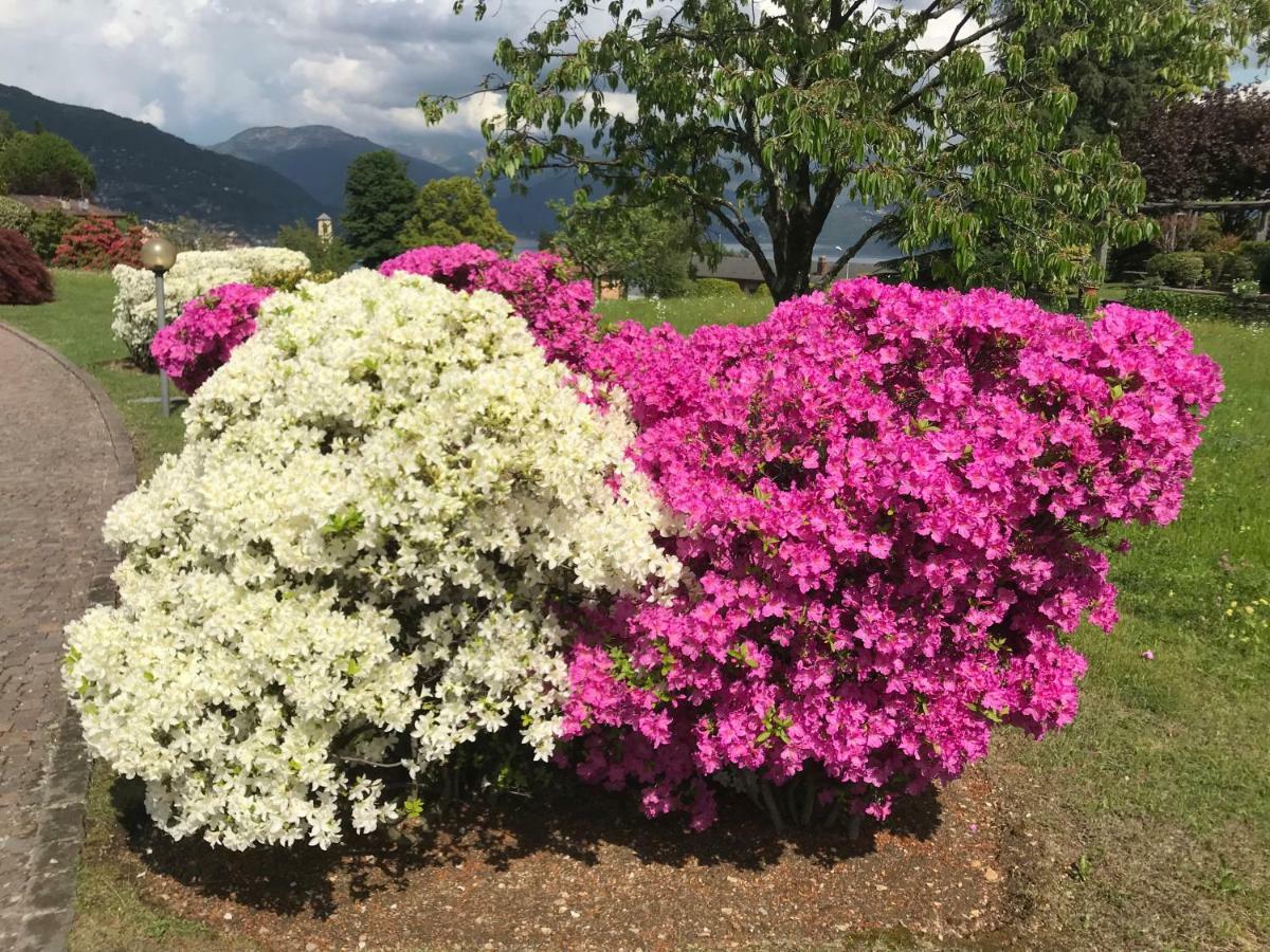 Holiday home Le Betulle Oggebbio