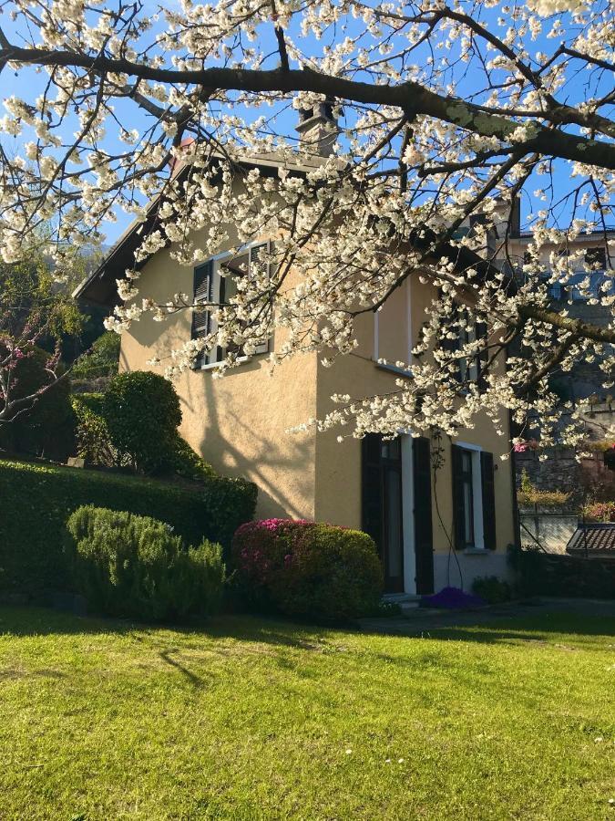 Le Betulle Holiday home Oggebbio